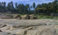 வான்வழியாக ஆராய நாசா முடிவு... ஆஸ்திரேலியா பவளப்பாறைகளை
